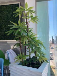 HOSPITAL SAN FRANCISCO