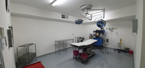 Hospital CMQ León S.A. de C.V.