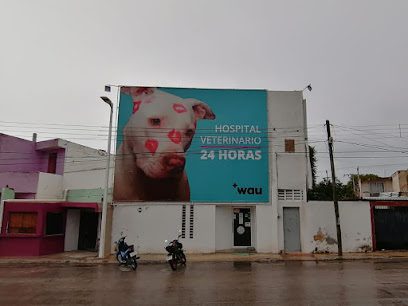 Wau Hospital Veterinario