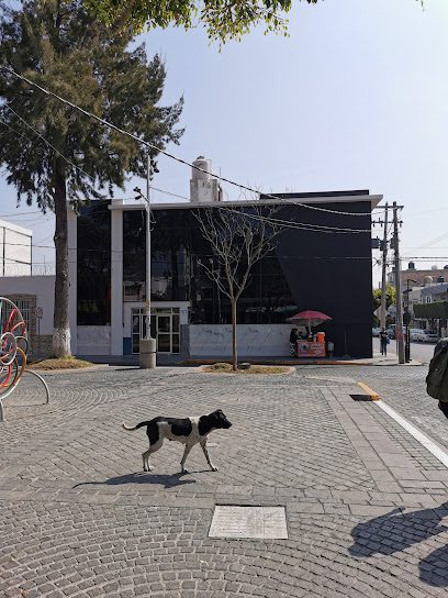 Clinica San Fernando