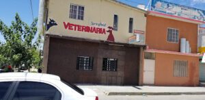 Hospital Veterinaria Springfield