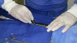 Clínica Veterinaria Zoo-Farm