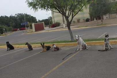 Hospital Pet Care Center Hermosillo