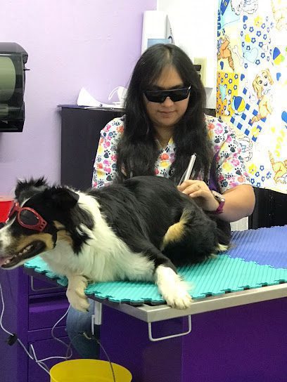 Centro Médico Veterinaria Amealco