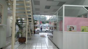CLINICA SANTISIMA TRINIDAD