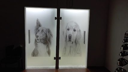 Hospital Veterinario Santa Elena