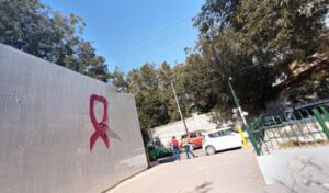 Hospital General de Subzona 11