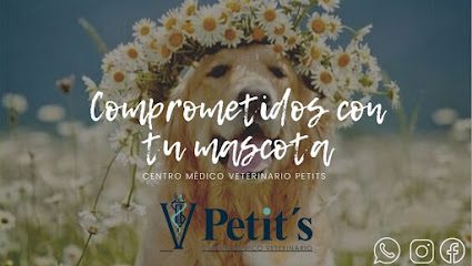Centro Médico Veterinario Petit´s