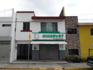 Minervet Hospital Veterinario