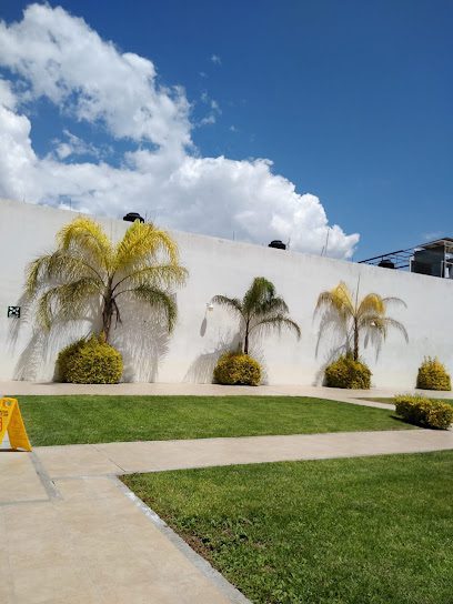 CLINICA BRITANIA TEHUACAN