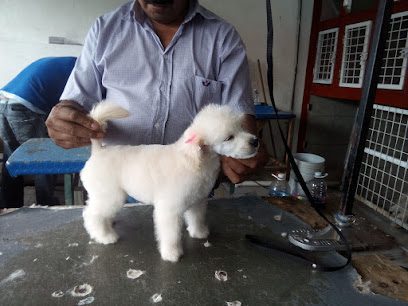 Clínica Veterinaria España