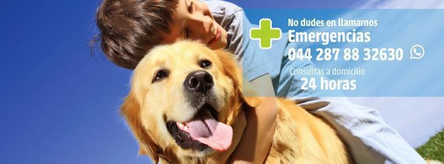 Clínica Veterinaria Dr. Villarreal