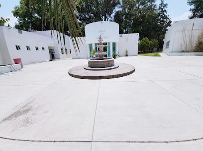 Hospital Psiquiátrico José Sayago