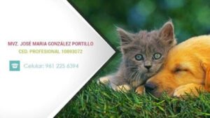 Hospital Veterinaria Love Animals