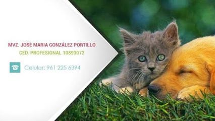 Hospital Veterinaria Love Animals