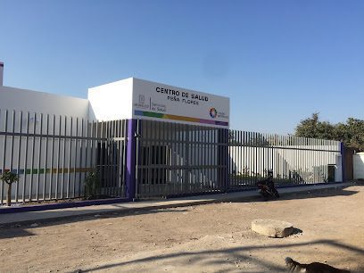 Centro de Salud Peña Flores
