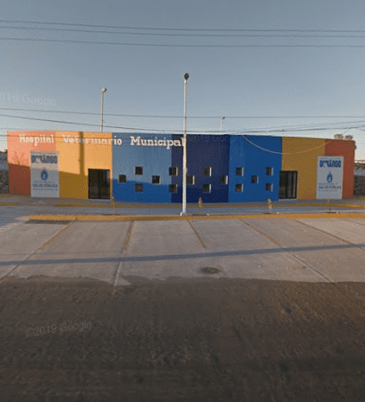 Hospital Veterinario Municipal