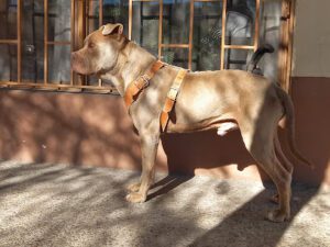 Hospital Veterinaria Lozoya
