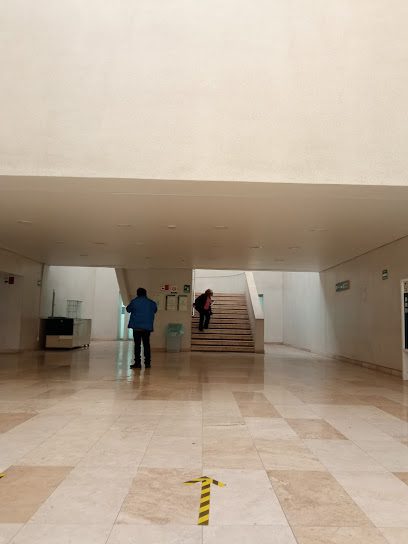 IMSS Hospital General de Zona 48 S. Pedro Xalpa
